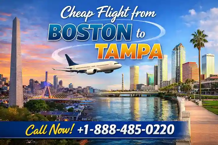 Cheap Flight from Boston to Tampa
